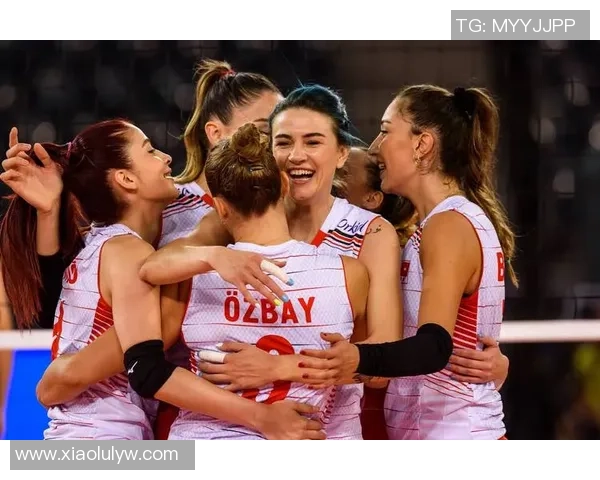 土耳其对瑞典精彩对决视频直播全程回放与赛后分析