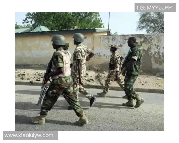 尼日利亚与中国激战回顾双方精彩表现引发热议