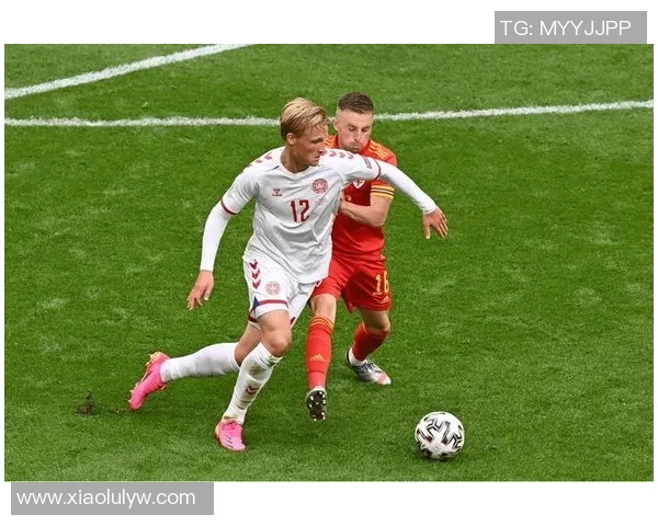 芬兰对阵意大利精彩主播直播全程回顾与分析