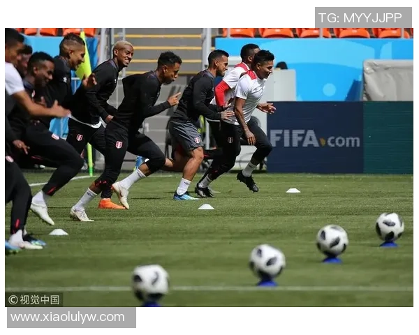 秘鲁与丹麦精彩对决全场回放分析与精彩瞬间重温