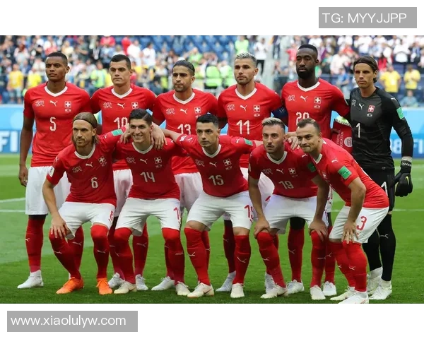 奥地利与挪威足球对决全方位分析战术特点与球员表现