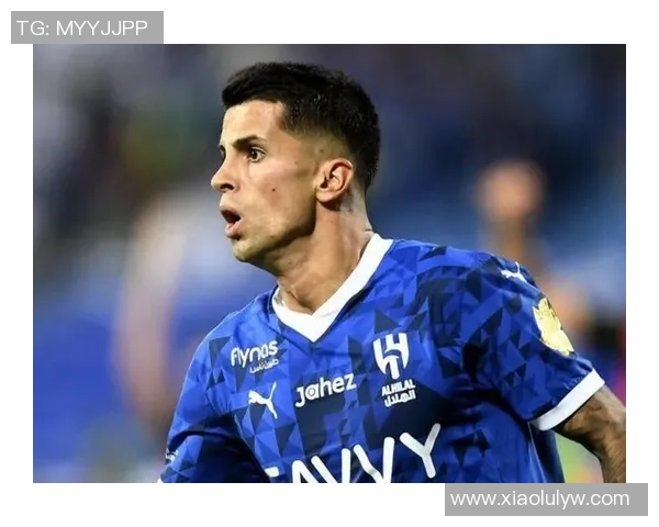 坎塞洛在赛季中的表现分析与未来发展潜力探讨