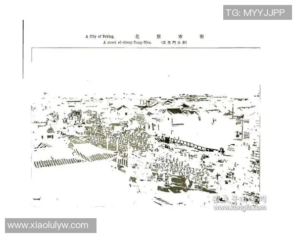 岐阜与坻的对决探索两地文化与风俗的独特魅力与差异 岐阜与坻的对决探索两地文化与风俗的独特魅力与差异