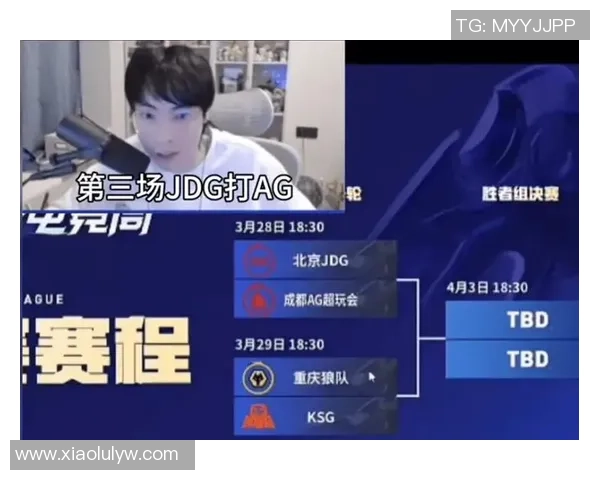 王者荣耀评论分析JDG在阵地战中的优势与劣势探讨