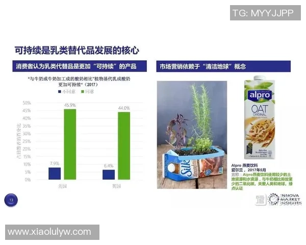 独家解读：WE力量对比背后的深层影响与未来趋势分析