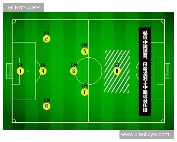 上海篮球队比赛经验分享：从战术到心理素质的全面解析