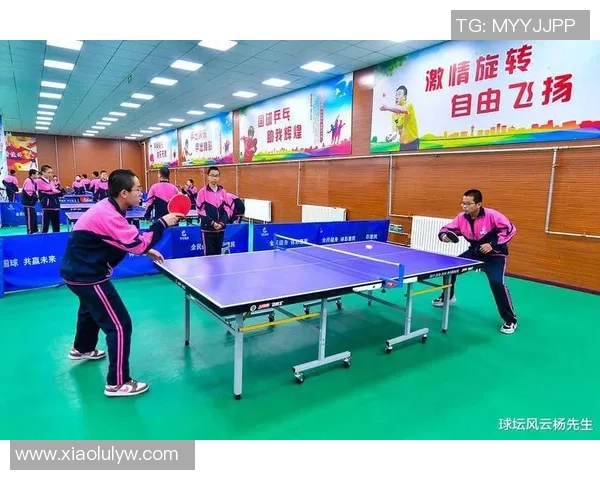 乒乓球新手必看战术技巧全攻略助你快速提升水平